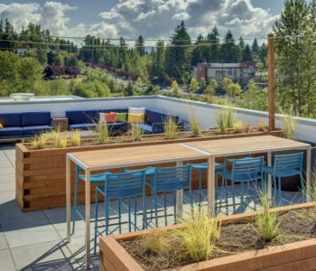 SAMM Apartments Rooftop Deck